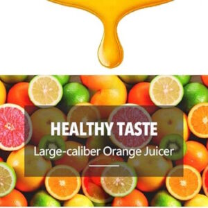 LETWOO Multi-function juicer Commercial Orange Juice Lemon machine Fruit and Vegetable Juicer Juicing Machine Food Processor - Image 5